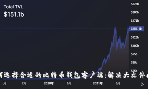 如何选择合适的比特币钱包客户端：解决大文件问题