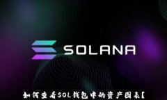 如何查看SOL钱包中的资产