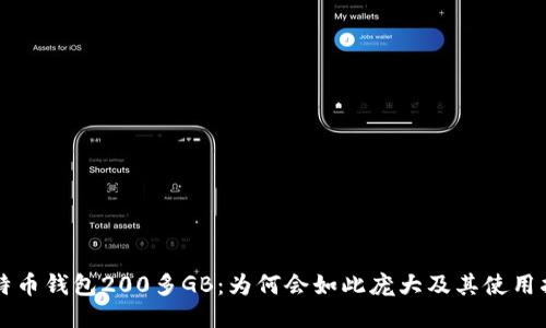 比特币钱包200多GB：为何会如此庞大及其使用指导