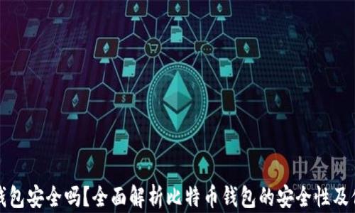 
比特币钱包安全吗？全面解析比特币钱包的安全性及保护策略