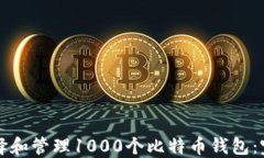 如何选择和管理1000个比特币钱包：完整指南