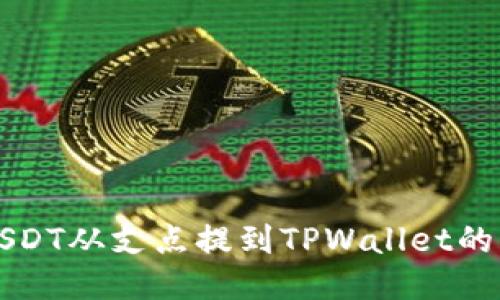 如何将USDT从支点提到TPWallet的详细指南