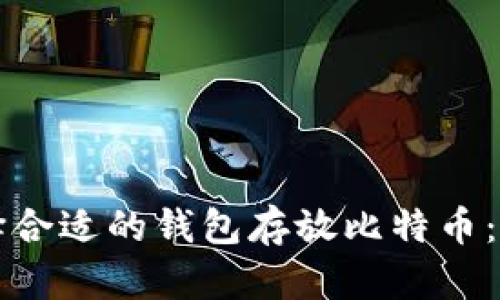 如何选择合适的钱包存放比特币：全面指南