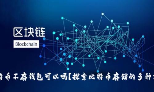 比特币不存钱包可以吗？探索比特币存储的多种方式