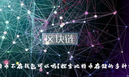 比特币不存钱包可以吗？探索比特币存储的多种方式