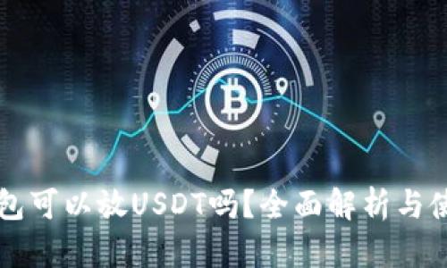 比太钱包可以放USDT吗？全面解析与使用指南