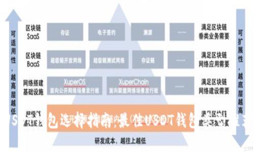 USDT钱包选择指南：最佳USDT钱包类型推荐