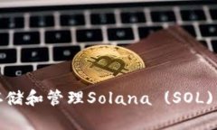 如何安全存储和管理Sola