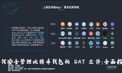 如何安全管理比特币钱包的 DAT 文件：全面指南