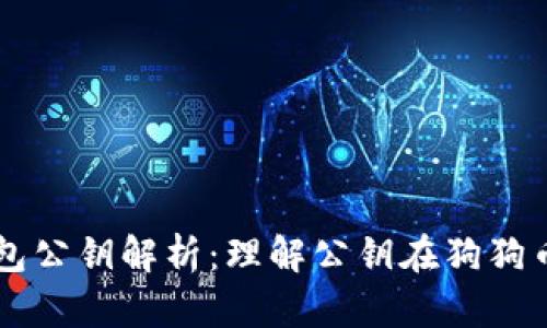 狗狗币钱包公钥解析：理解公钥在狗狗币中的作用