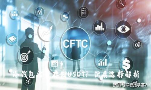 冷钱包能否存储USDT? 优质选择解析