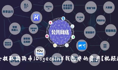 如何安全提取狗狗币（Dogecoin）钱包中的资产？视频教程详解