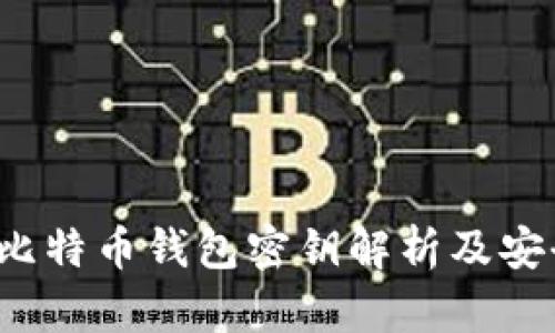 2009年比特币钱包密钥解析及安全性分析