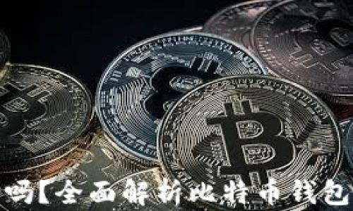 
比特币钱包安全吗？全面解析比特币钱包的安全性与风险