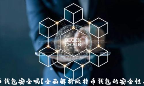 
比特币钱包安全吗？全面解析比特币钱包的安全性与风险