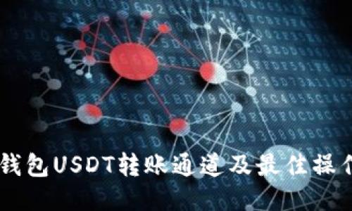 币安钱包USDT转账通道及最佳操作指南