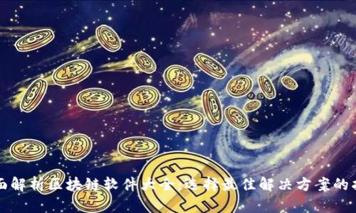 全面解析区块链软件大全：选择最佳解决方案的指南