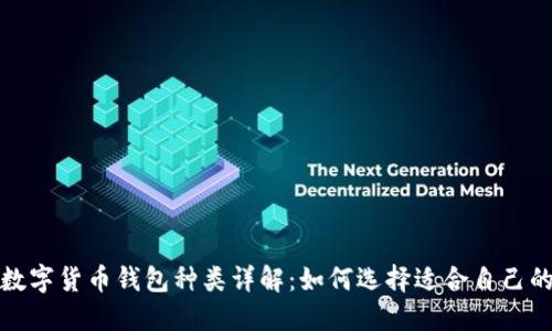 加密数字货币钱包种类详解：如何选择适合自己的钱包