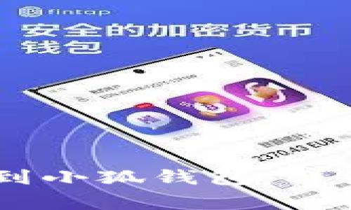 如何将USDT转移到小狐钱包：详细步骤和注意事项