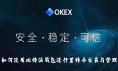 如何使用比特派钱包进行