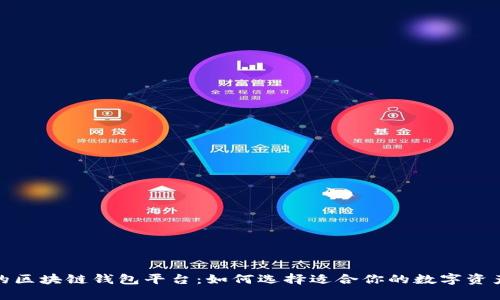 最新发布的区块链钱包平台：如何选择适合你的数字资产管理工具