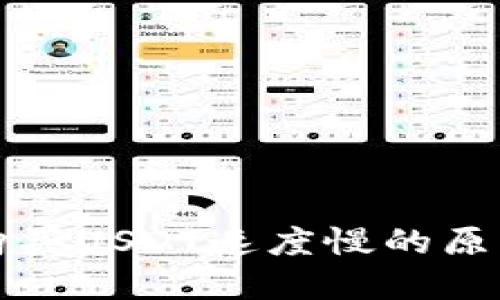 比特派钱包购买USDT速度慢的原因及解决方案