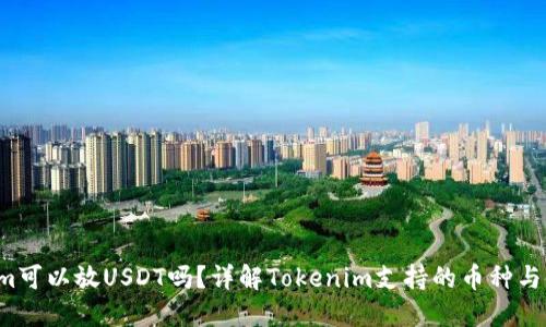  Tokenim可以放USDT吗？详解Tokenim支持的币种与使用方法