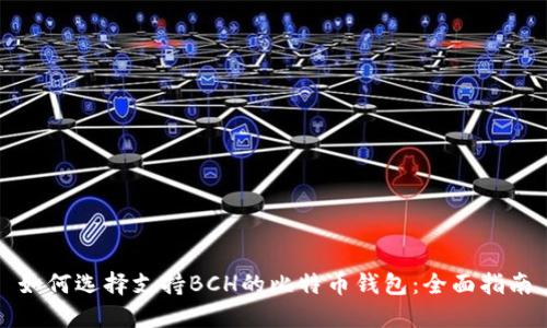 如何选择支持BCH的比特币钱包：全面指南