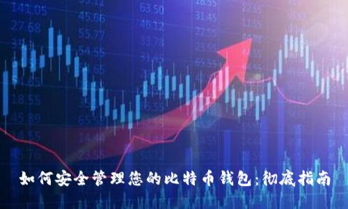 如何安全管理您的比特币钱包：彻底指南