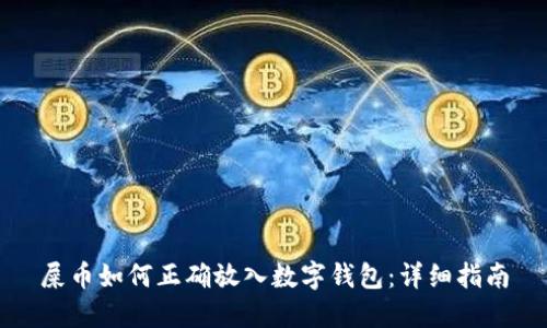 屎币如何正确放入数字钱包：详细指南