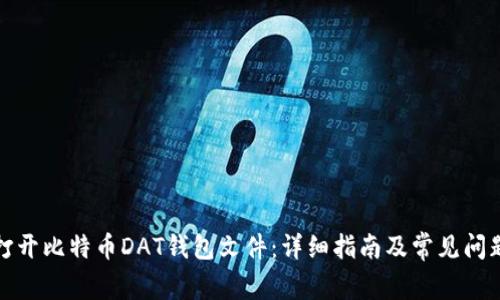 如何打开比特币DAT钱包文件：详细指南及常见问题解答