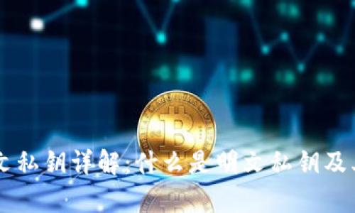 TPWallet明文私钥详解：什么是明文私钥及其安全性分析