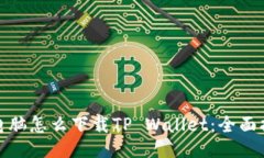 : 电脑怎么下载TP Wallet：全面指南